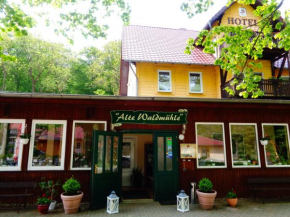 Гостиница Alte Waldmühle  Вернигероде